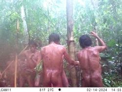 Penampakan Suku Amazon yang Tak Terkontak Dipotret dari Jarak Jauh