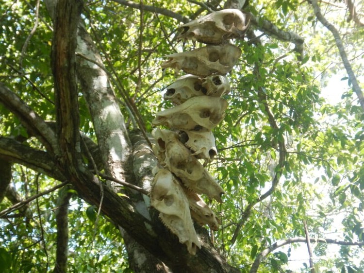 Suku Massaco di pedalaman hutan hujan Amazon