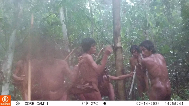 Suku Massaco di pedalaman hutan hujan Amazon