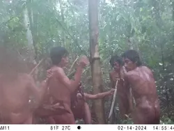 Penampakan Suku Amazon yang Tak Terkontak Dipotret dari Jarak Jauh