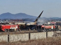 Jeju Air Diduga Bird Strike, Ini yang Terjadi Jika Burung Tabrak Pesawat