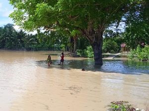 600 Ha Lahan Pertanian di Fahiluka Malaka Terancam Gagal Panen Akibat Banjir