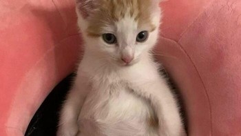 Kita lagi santai kawan. Foto: (Bored Panda).