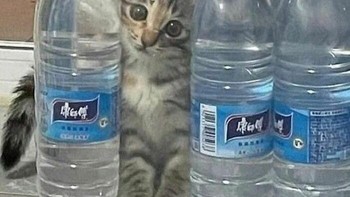 Cosplay jadi botol minuman. Foto: (Bored Panda).