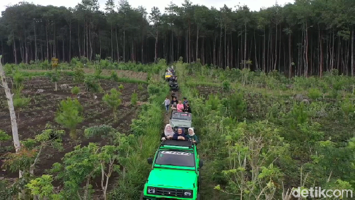 pacu adrenalin dengan wisata offroad menjelajahi sungai dan hutan di kaki gunung semeru