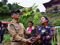 Pj Gubernur Sulsel Salurkan 6,5 Juta Bibit Tanaman Hortikultura Selama 2024