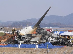 5 Fakta Kecelakaan Jeju Air di Korsel, Ada Ratusan Korban Jiwa