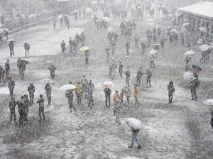Cuaca Ekstrem di India, Kepolisian Evakuasi 8 Ribu Wisatawan dari Salju Tebal