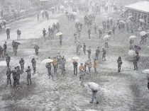 Cuaca Ekstrem di India, Kepolisian Evakuasi 8 Ribu Wisatawan dari Salju Tebal