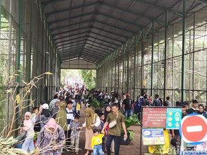 48 Ribu Pengunjung Serbu Ragunan hingga Siang Ini, Tertinggi Sejak Libur Natal