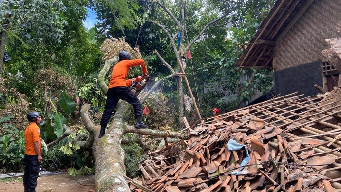 Angin kencang melanda kawasan Desa Balekambang, Jonggol, Bogor, Jawa Barat. Angin itu membuat pohon tumbang hingga menimpa rumah warga. (dok istimewa).