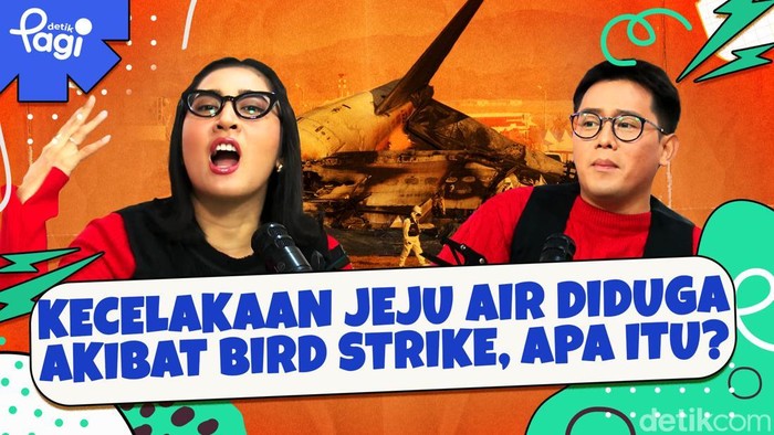 Detik Pagi edisi Senin, 30 Desember 2024 membahas Kecelakaan Jeju Air Diduga Akibat Bird Strike, Apa itu?