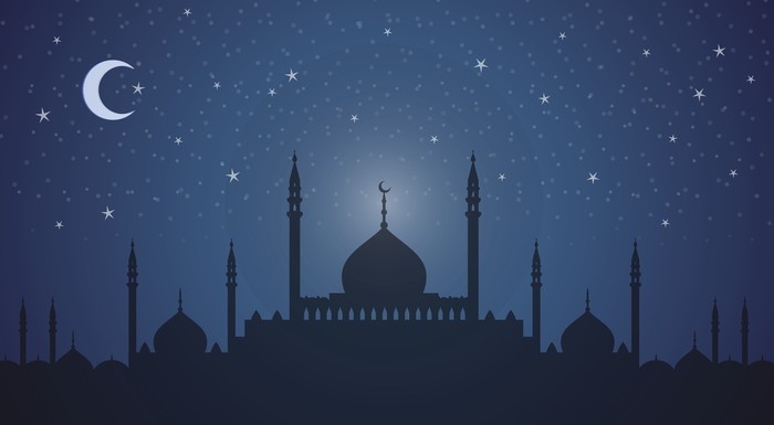 Skyline with minarets and domes at night