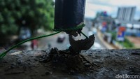 Tiang JPO juga karatan.