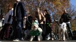 Jalan Santai Anjing Dukung Penampungan Hewan yang Kebanjiran di Valencia