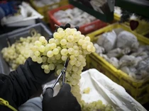 5 Tradisi Sajian Tahun Baru di Dunia yang Dipercaya Bawa Keberuntungan