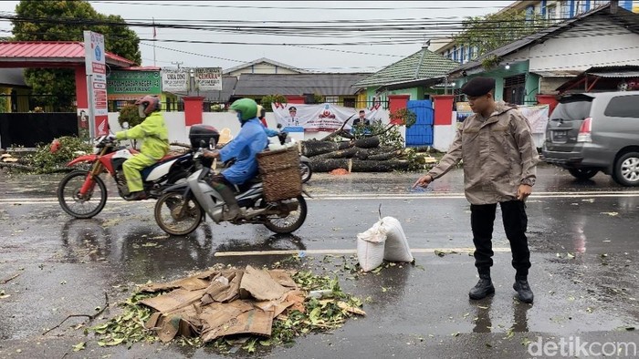Lokasi pemotor tewas usai tertimpa pohon tumbang.