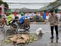 Video: Pohon Tumbang Timpa Pemotor di Pangkalpinang, Ibu-Menantu Tewas