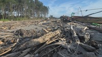 Sampah kiriman berupa kayu dan plastik yang berserakan di pesisir pantai sejak tiga bulan terakhir membuat beberapa kapal nelayan rusak dan sulit saat memarkir perahu usai melaut.