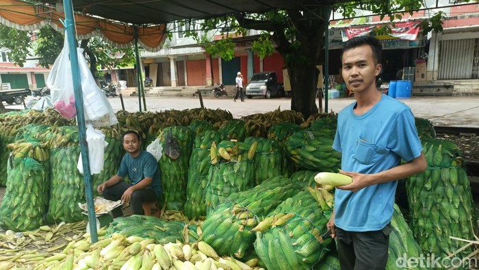 Pedagang jagung di Palembang keluhkan sepi pembeli.