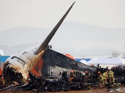 Ahli Pertanyakan Kecelakaan Jeju Air Akibat Bird Strike
