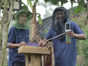 Penguatan Komoditas Pangan, Pertamina Dukung 13 Kelompok Perhutanan Sosial