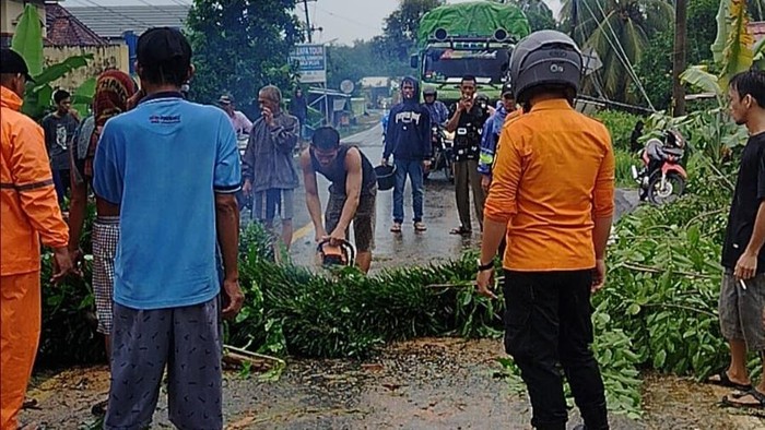 Pohon tumbang di wilayah Muba sebabkan kemacetan dari arah Palembang dan Sekayu.