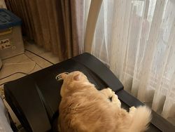 Resolusi 2025 versi Netizen +62, Relate Banget Sih