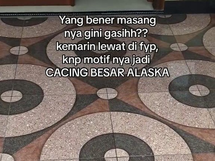 Viral Lantai Motif Cacing Besar Alaska