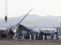 Polisi Korsel Dapat Email Klaim Pelaku Kecelakaan Jeju Air