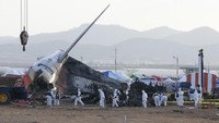 Ekor pesawat adalah bagian yang masih terlihat jelas bentuknya, sedangkan bagian lain dari pesawat ini sudah hancur terbakar hebat.