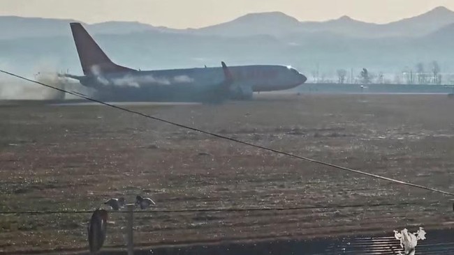 Tragedi Jeju Air Bikin Bandara Korsel Kini Deteksi Burung