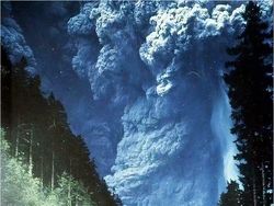 Jika Mengidap Megalophobia Jangan Lihat Foto Ini, Jangan Ya Dek