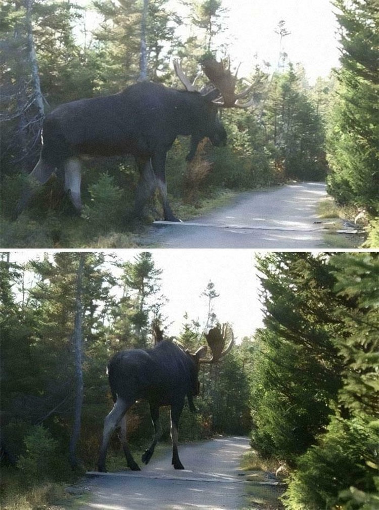 Jika Mengidap Megalophobia Jangan Lihat Foto Ini, Jangan Ya Dek Apakah kalian takut melihat sesuatu yang begitu besar, sepertinya deretan foto ini tak cocok dilihat. Tapi kalau penasaran, langsung simak daftarnya berikut.