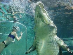 Jika Mengidap Megalophobia Jangan Lihat Foto Ini, Jangan Ya Dek
