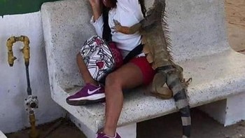 Waduh kasian sampai ketakutan. Foto: Kids in Predicaments