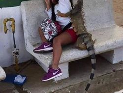 Kelakuan Bocil Terekam Kamera yang Bikin Ngakak