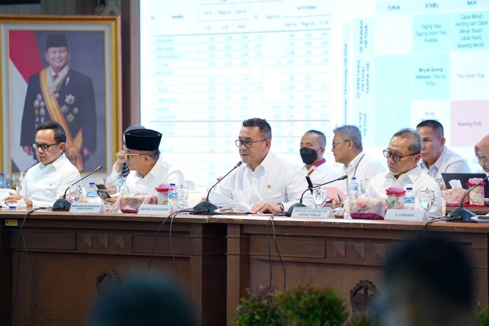 Mendag Siapkan Gudang SRG sebagai Penyimpanan Sementara Beras Petani