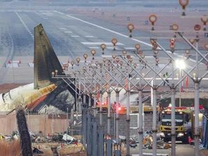 Kecelakaan Jeju Air, Pakar Pertanyakan Dinding Beton Dekat Landasan
