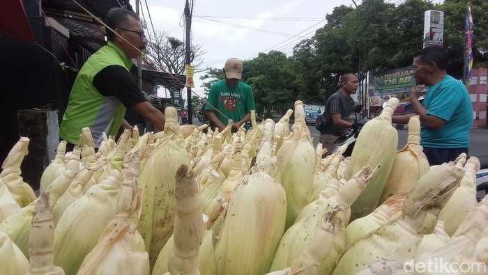Pedagang jagung manis di Tasikmalaya tengah menata barang dagangannya.