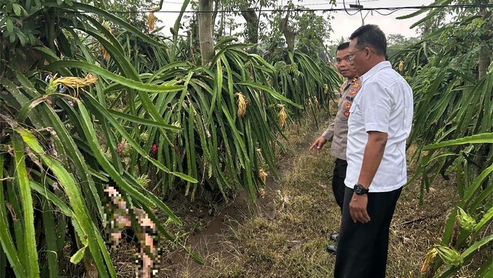 pembunuhan remaja di Banyuwangi