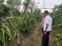 Remaja Banyuwangi Dianiaya Pemabuk Berujung 4 Teman Ditangkap