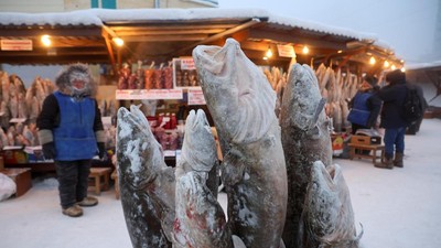 Potret Pasar Ikan di Kota Terdingin Dunia