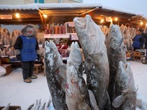 Potret Pasar Ikan di Kota Terdingin Dunia