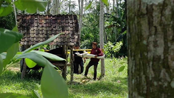 Prarekonstruksi kasus pemerkosaan dan pembunuhan siswi MI Banyuwangi
