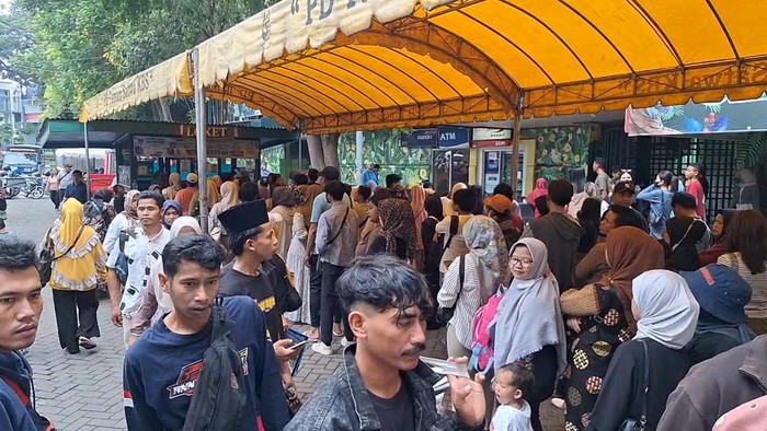 Antrean wisatawan masuk ke KBS saat Tahun Baru 2025