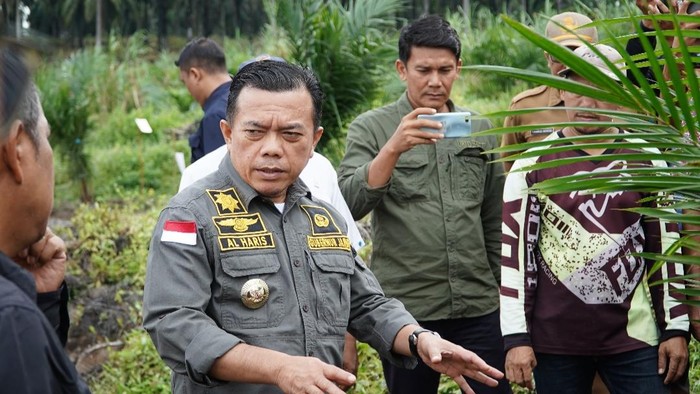 Gubernur Jambi Al Haris