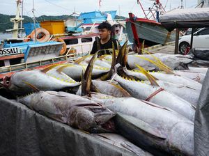 PNBP SDA Perikanan Naik 30% di 2024, Ini Pencetusnya