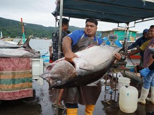 PNBP Perikanan 2024 Capai Rp 955,39 M, KKP: Banyak Pelaku Usaha Sadar
