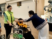 Pesawat Garuda dari Australia Angkut Turis Pertama ke Bali pada 2025